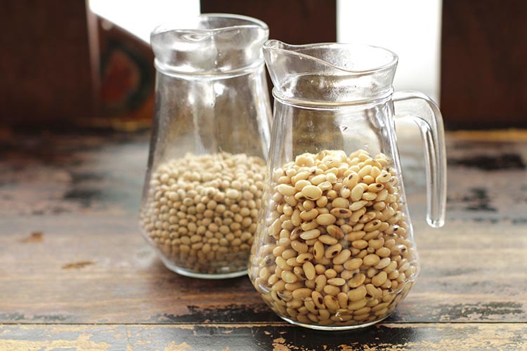 Raw soy beans being soaked in water in two glass pitchers on a rustic appearing wooden table.