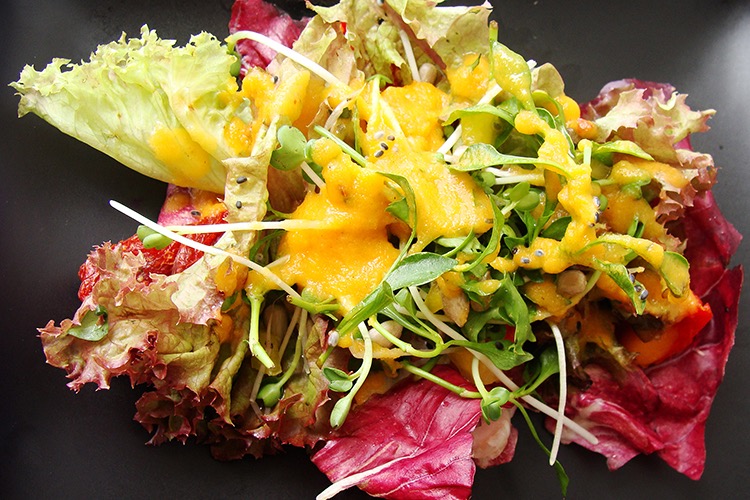 Mixed green salad with red lettuce, alfalfa sprouts, topped with carrot Sauce