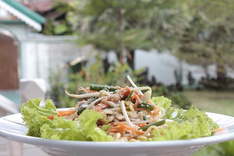Raw coconut noodle recipe with bean sprouts and carrots on a bed of lettuce on a white plate in garden of traditional Thai house.