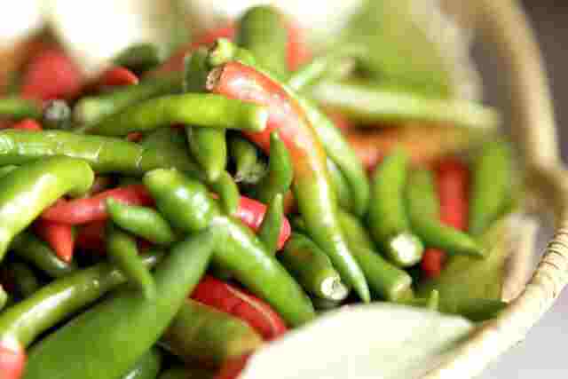 Thai Ingredient Index - Chili Pepper - May Kaidee