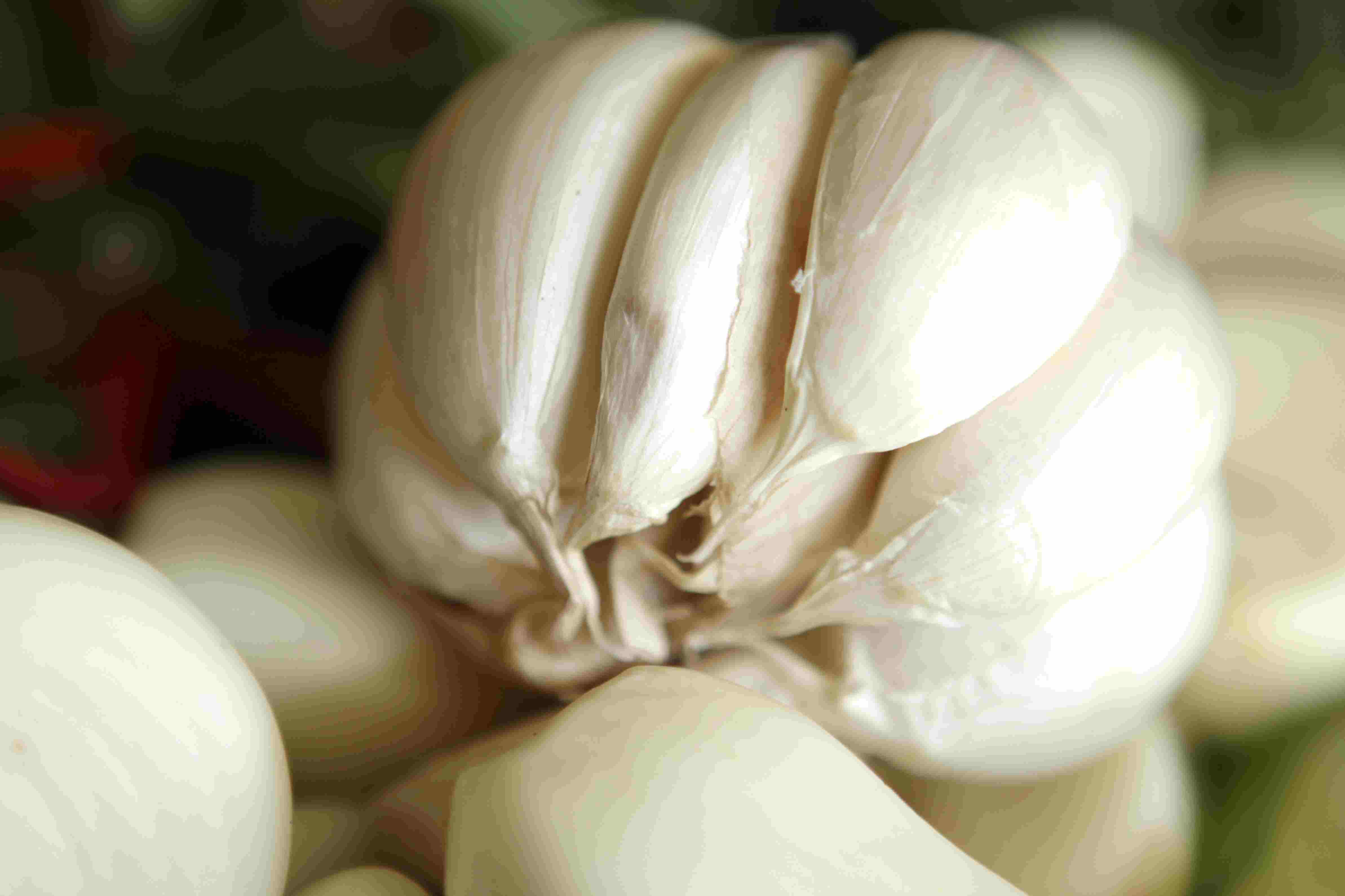 Description of: Garlic