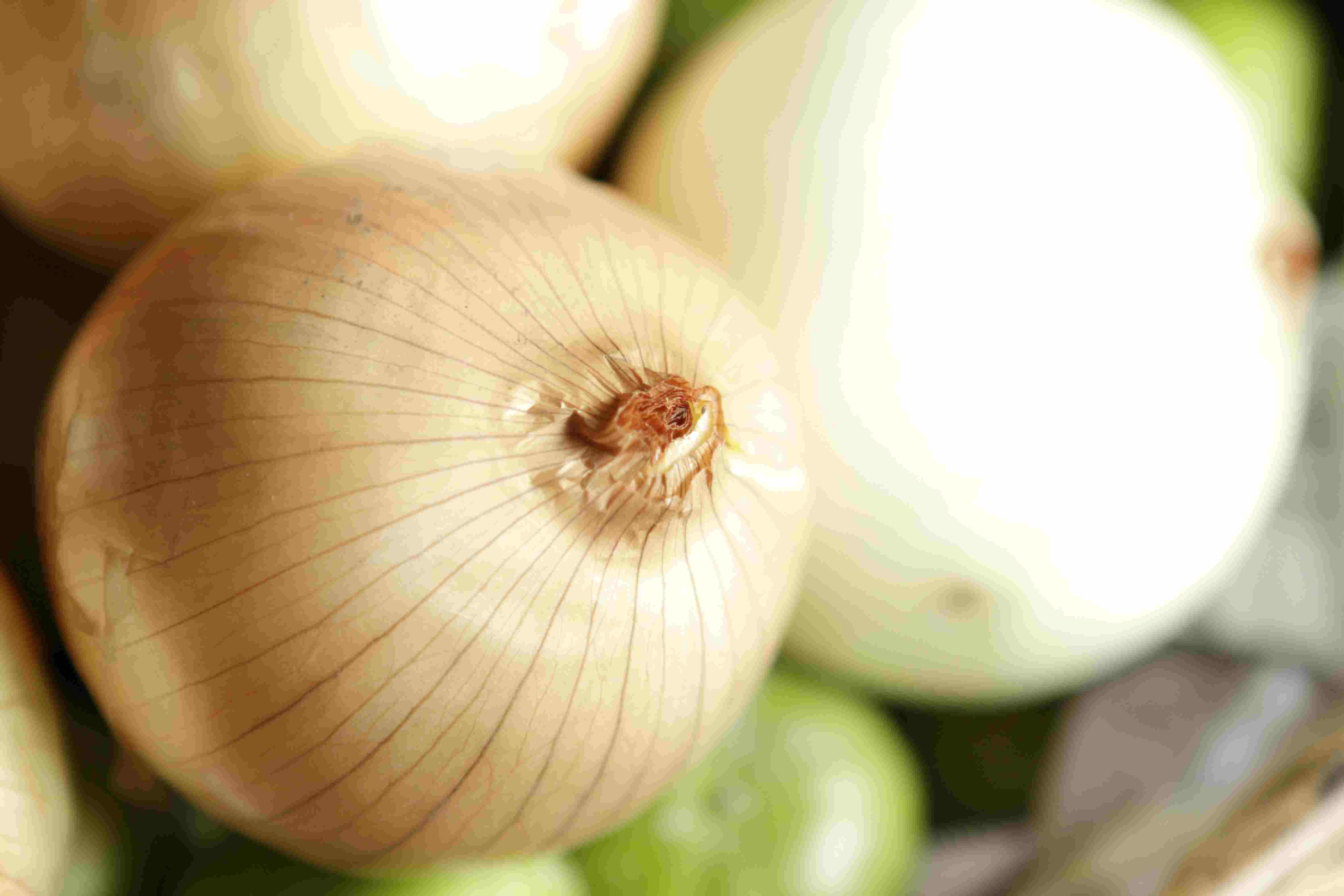 Description of: Onion